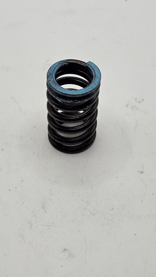 Sherco - Valve Spring, Admission 250 End - 0931 - S16